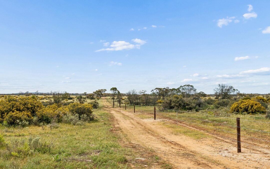 Lot 195 Seven Cross Road, SEDAN, SA 5353 AUS