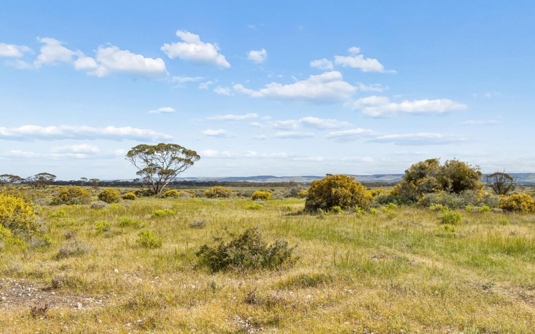 Lot 195 Seven Cross Road, SEDAN, SA 5353 AUS