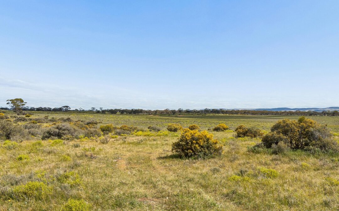 Lot 195 Seven Cross Road, SEDAN, SA 5353 AUS