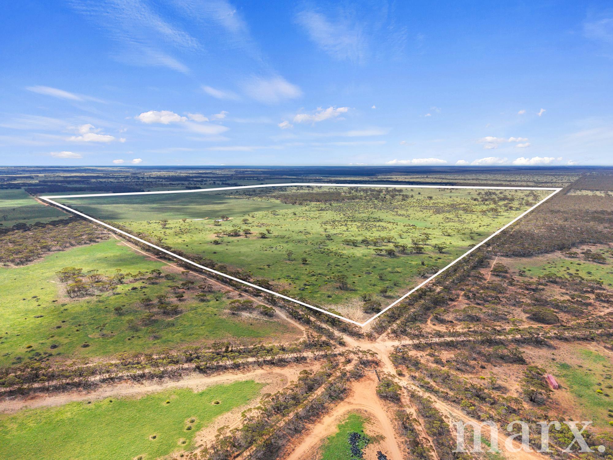 Lot 195 Seven Cross Road, Sedan - Image 1