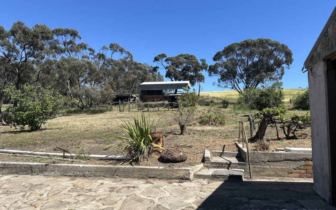 209 Moppa Road, NURIOOTPA, SA 5355 AUS