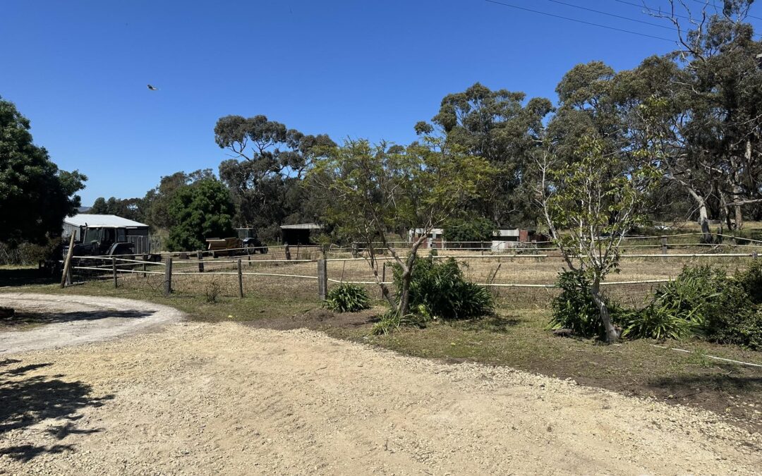 209 Moppa Road, NURIOOTPA, SA 5355 AUS