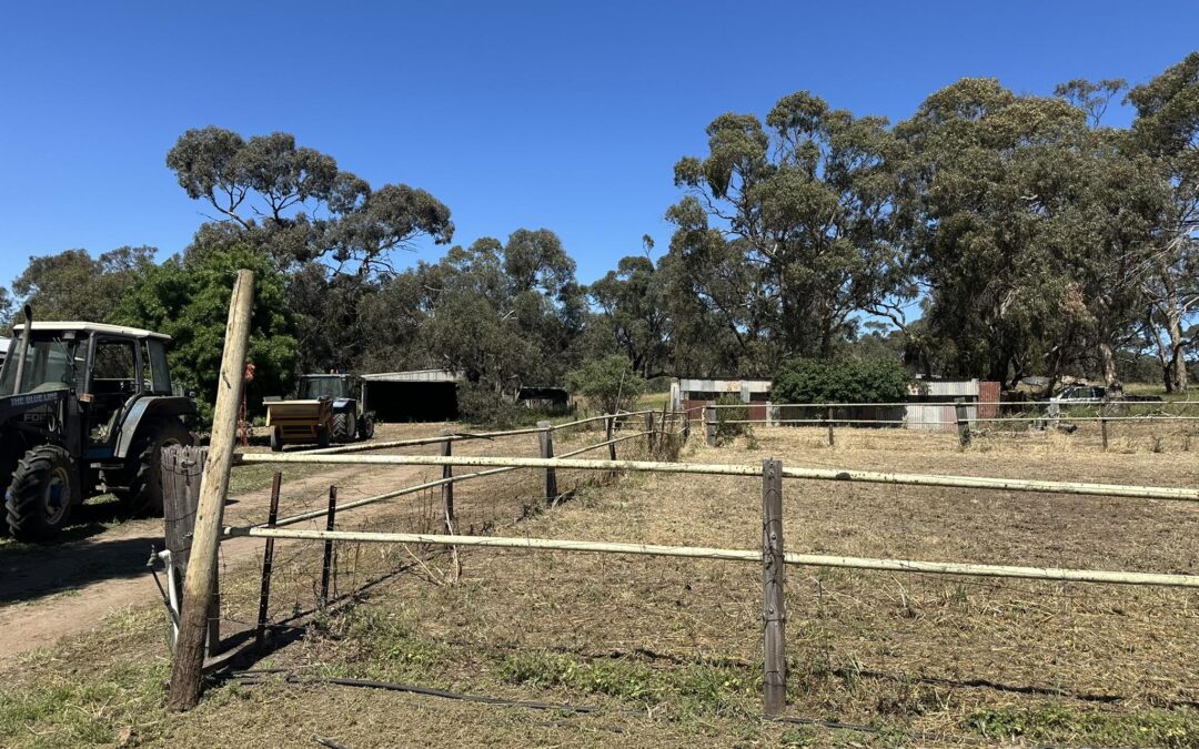 209 Moppa Road, NURIOOTPA, SA 5355 AUS