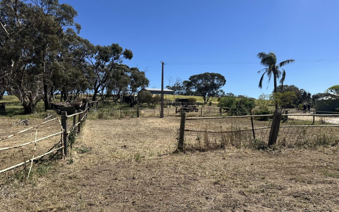 209 Moppa Road, NURIOOTPA, SA 5355 AUS