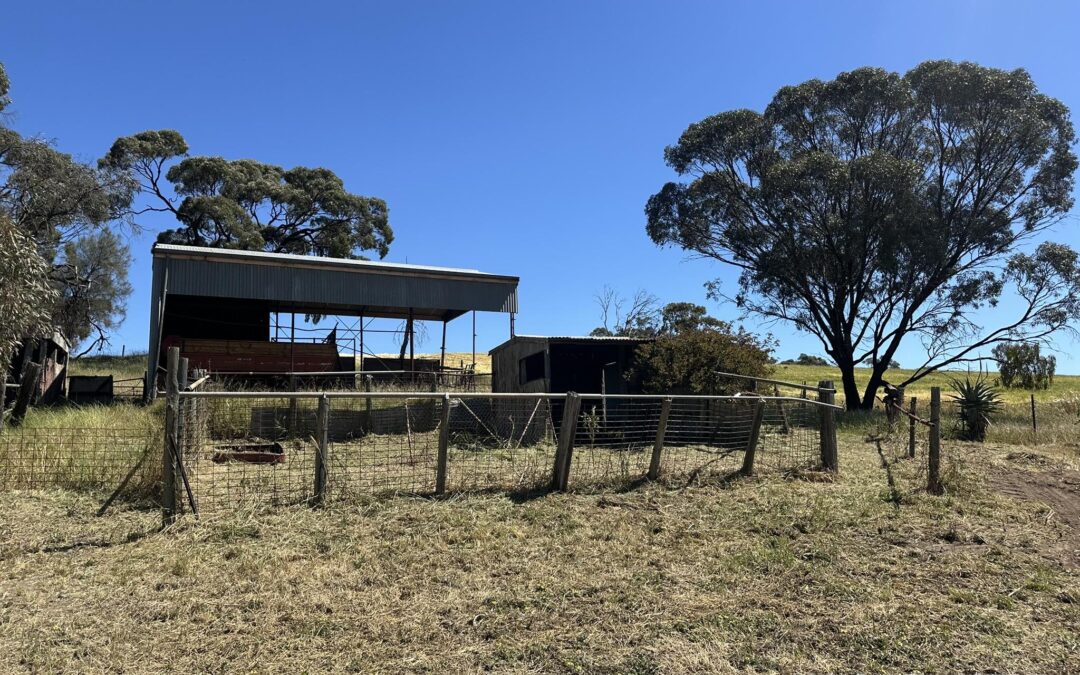 209 Moppa Road, NURIOOTPA, SA 5355 AUS
