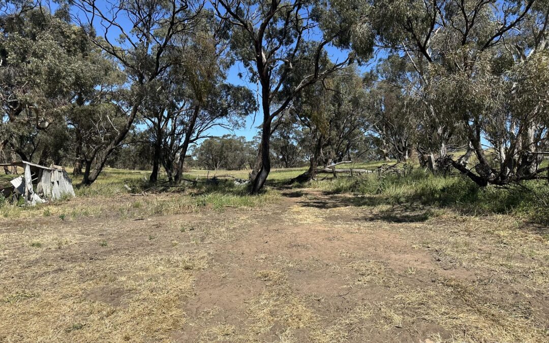209 Moppa Road, NURIOOTPA, SA 5355 AUS
