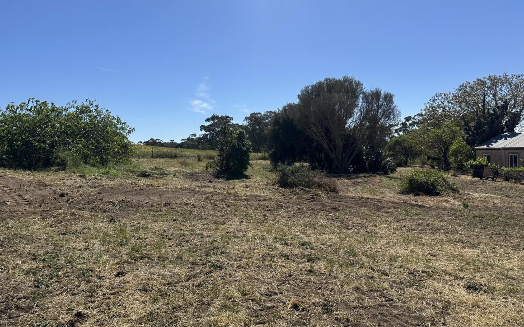 209 Moppa Road, NURIOOTPA, SA 5355 AUS